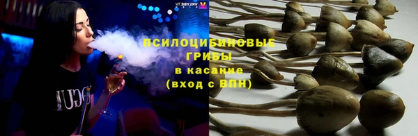 эйфоретик Елизово