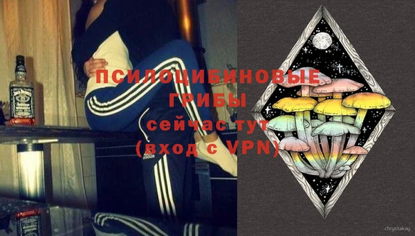 mdpv Дмитров