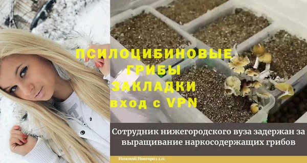 mdpv Дмитров