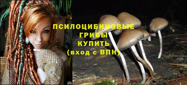 герыч Дмитровск