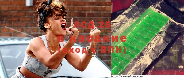 стаф Елабуга