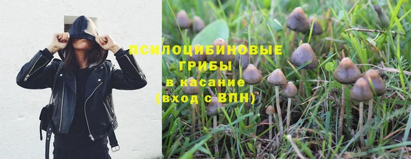 герыч Дмитровск